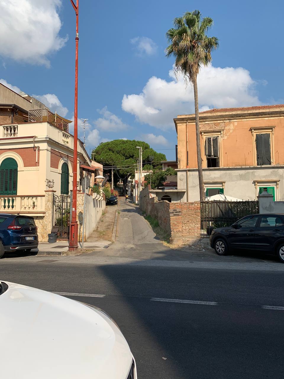 photo_4_2025-06-15_20-30-51