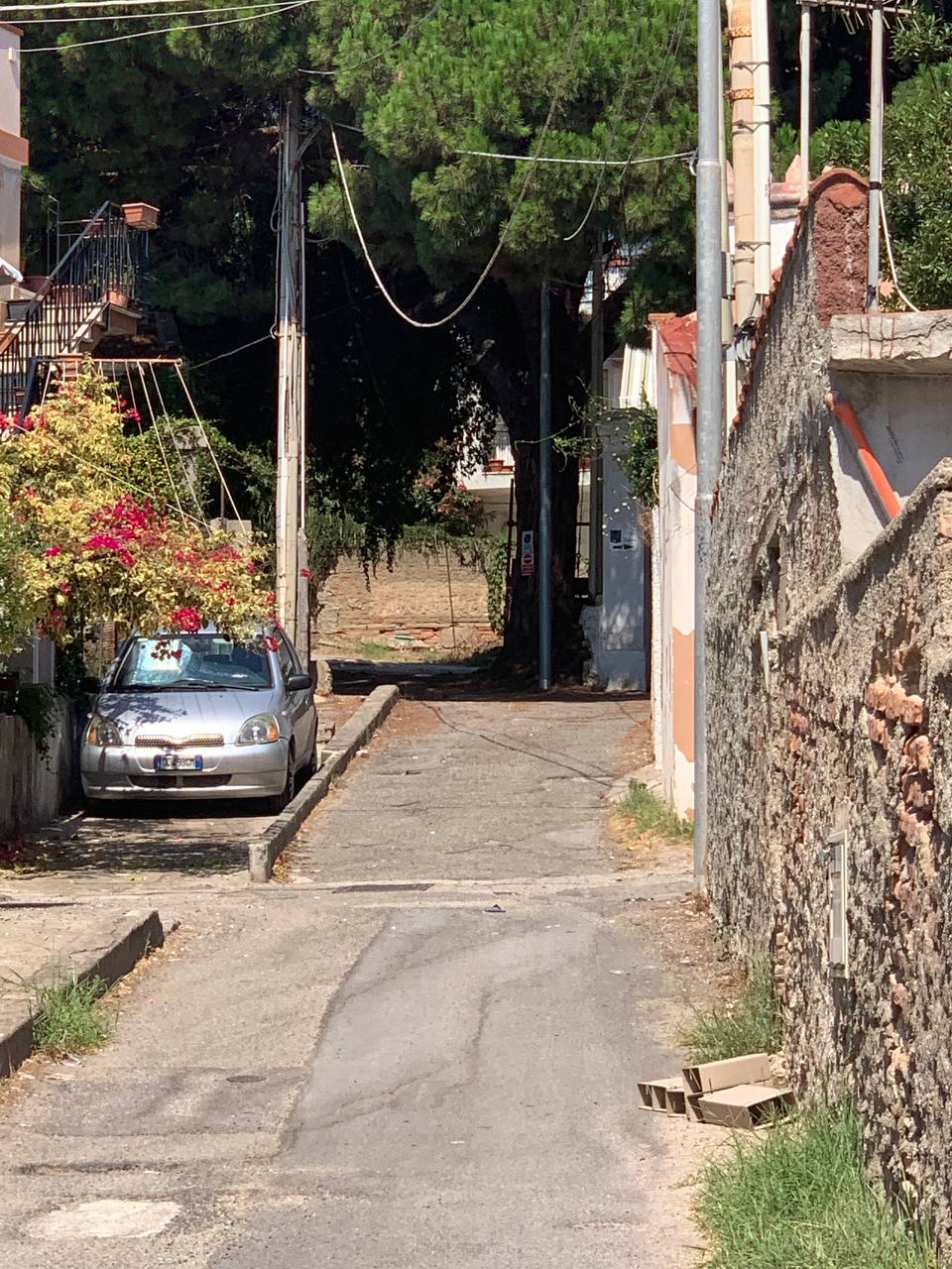 photo_5_2025-06-15_20-30-51