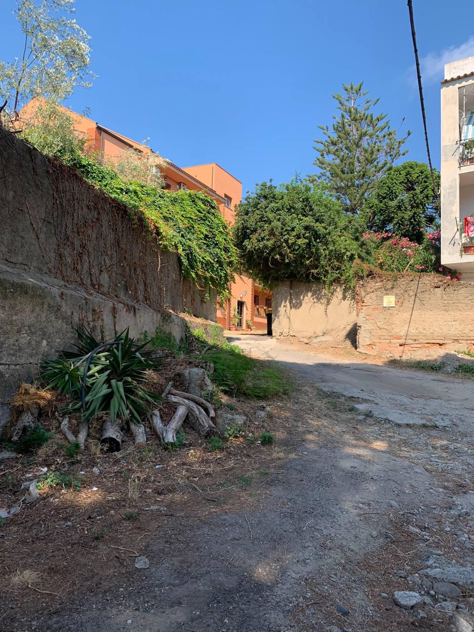 photo_1_2025-07-08_10-29-52