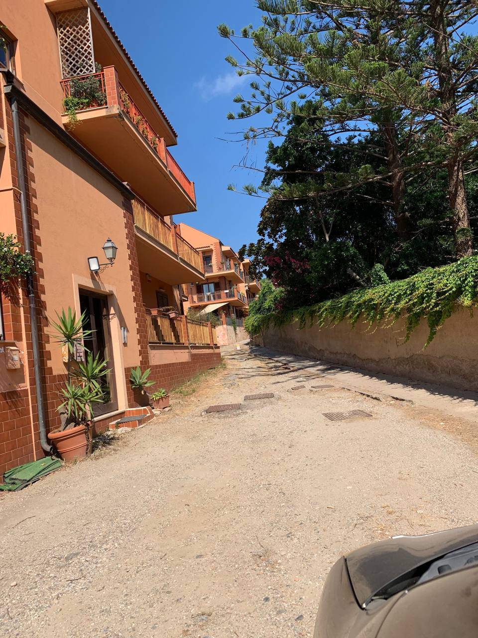 photo_2_2025-07-08_10-29-52