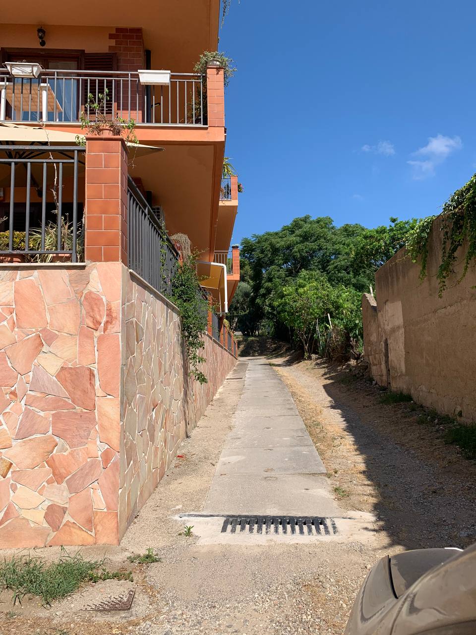 photo_3_2025-07-08_10-29-52