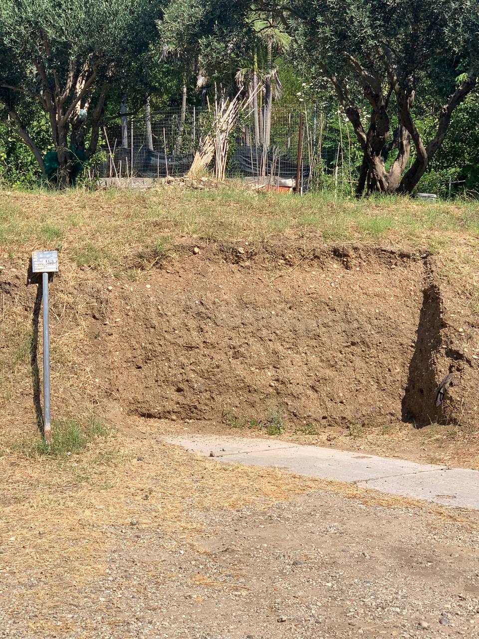photo_4_2025-07-08_10-29-52